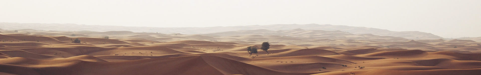 ԶӿƼ޹˾